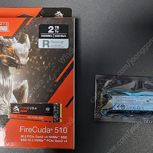 시게이트 510 2tb, pm9a1, p31 1tb