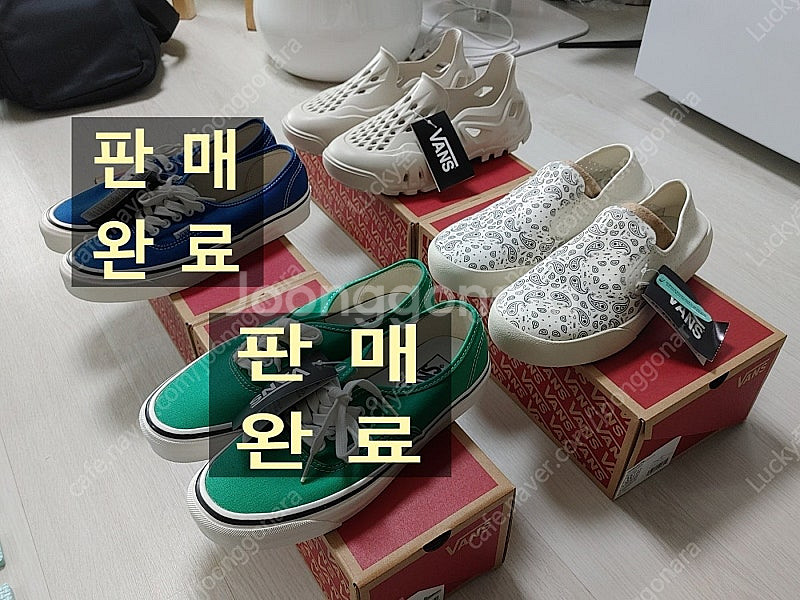 반스 255 4종류 (어센틱 에너하임 44 DX, 컴피...--0