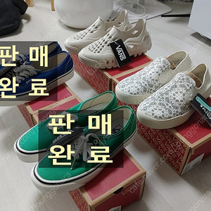 반스 255 4종류 (어센틱 에너하임 44 DX, 컴피쿠시 원, 아마존 파쿠)