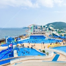 여수 디오션 지류 티켓 10장 싸게 양도합니다.(안전페이,종일권,8월 31일까지,우체국택배)