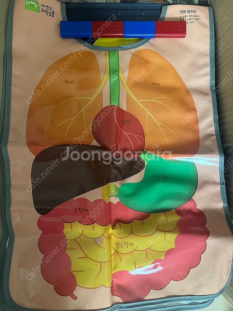 내 친구 과학공룡 52권(그레이트 북스)+ 과학실험세트...--8