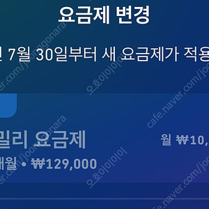 듀오링고 패밀리