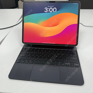 아이패드프로13(M4) 256gb 셀룰러 + 매직키보드 + 펜슬프로 + 정품케이스 + 애캐플