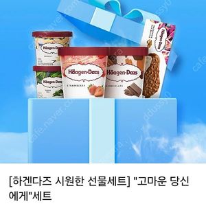 하겐다즈 "고마운 당신에게" 세트 (파인트2개+미니컵2개+스틱바1개)