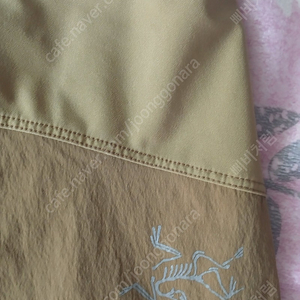 아크테릭스 와 파타고니아 반바지 이미지