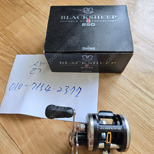 가물치 릴 2대 분양합니다 (블래쉽250.아비드300)