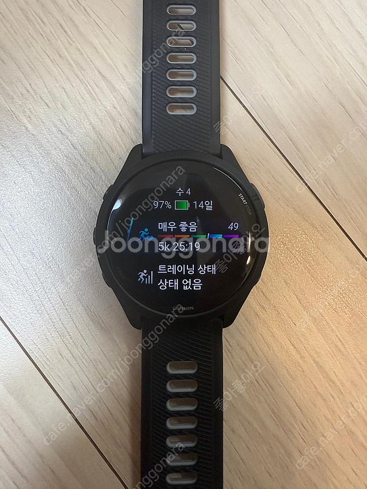 가민 포러너 265--1