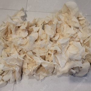 쉬폰 망사반달 아이보리 10마