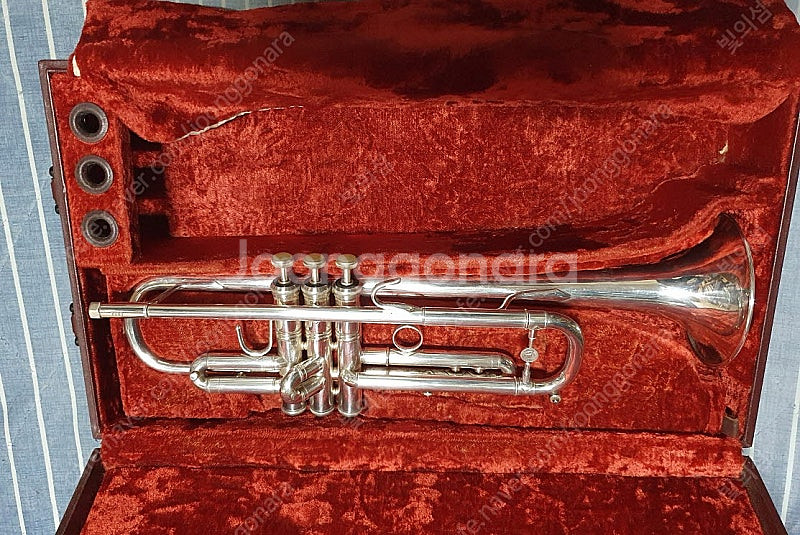 홀톤 T103S 트럼펫--0