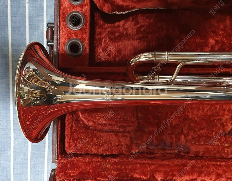 홀톤 T103S 트럼펫--5