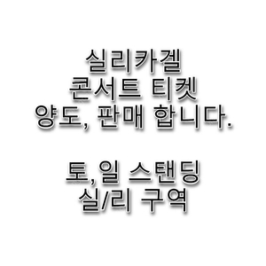 실리카겔 콘서트 양도, 판매 합니다. 실,리 구역 스탠딩 (토,일) 2025 실리카겔 단독공연 〈Syn. THE. Size X〉