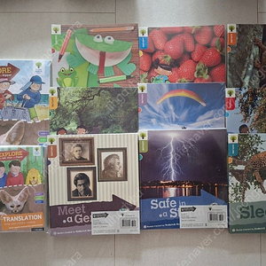 ort 옥스포드리딩트리 익스플로어 explore 오알이