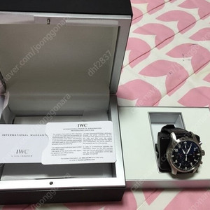 IWC3777-01 파일럿 팝니다.