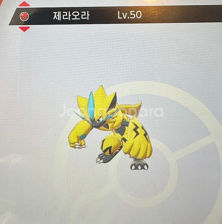 제라오라 포켓몬스터 소드 실드--0