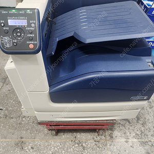 A3 칼라프린터 제록스 C-5005dn