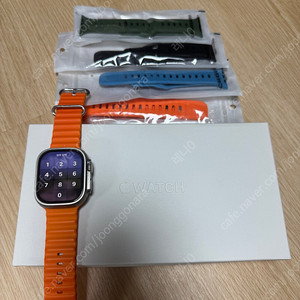애플워치 울트라2 (49mm)