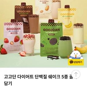 고고단 단백질 쉐이크 다이어트