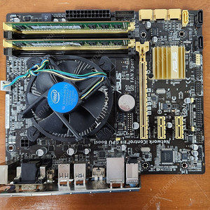 i3-4160 + Asus B85M-G + 8GB Ram