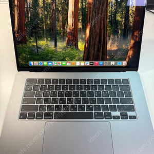 M3 맥북에어 15인치 CTO 24GB ram / 512GB 스페이스 그레이
