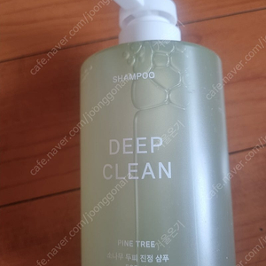 자주 소나무 두피 진정 샴푸 500ml 새제품