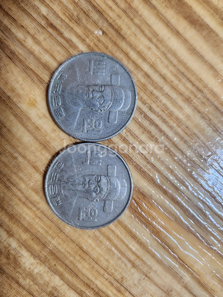 1982년 100원500원--3