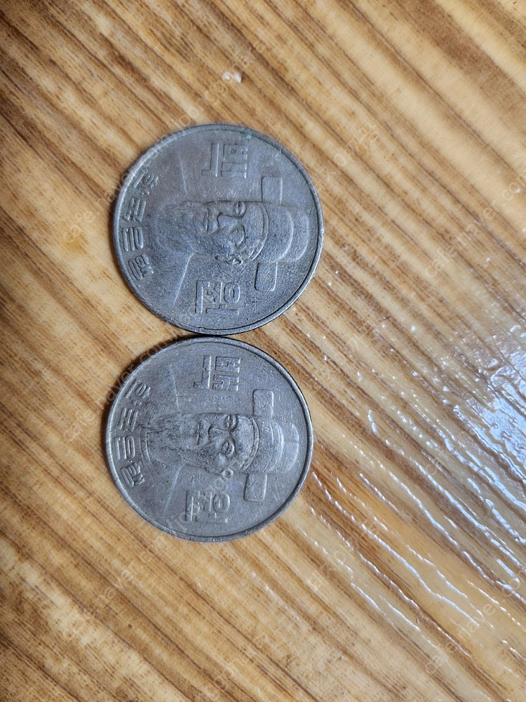1982년 100원500원 이미지
