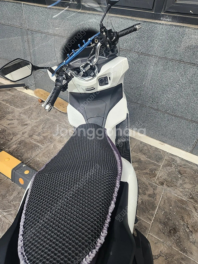 2024 혼다 PCX125--1