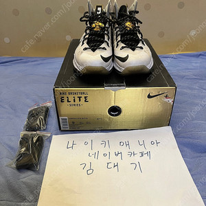 [270] 나이키 르브론 10 엘리트 + 화이트 골드 팝니다.