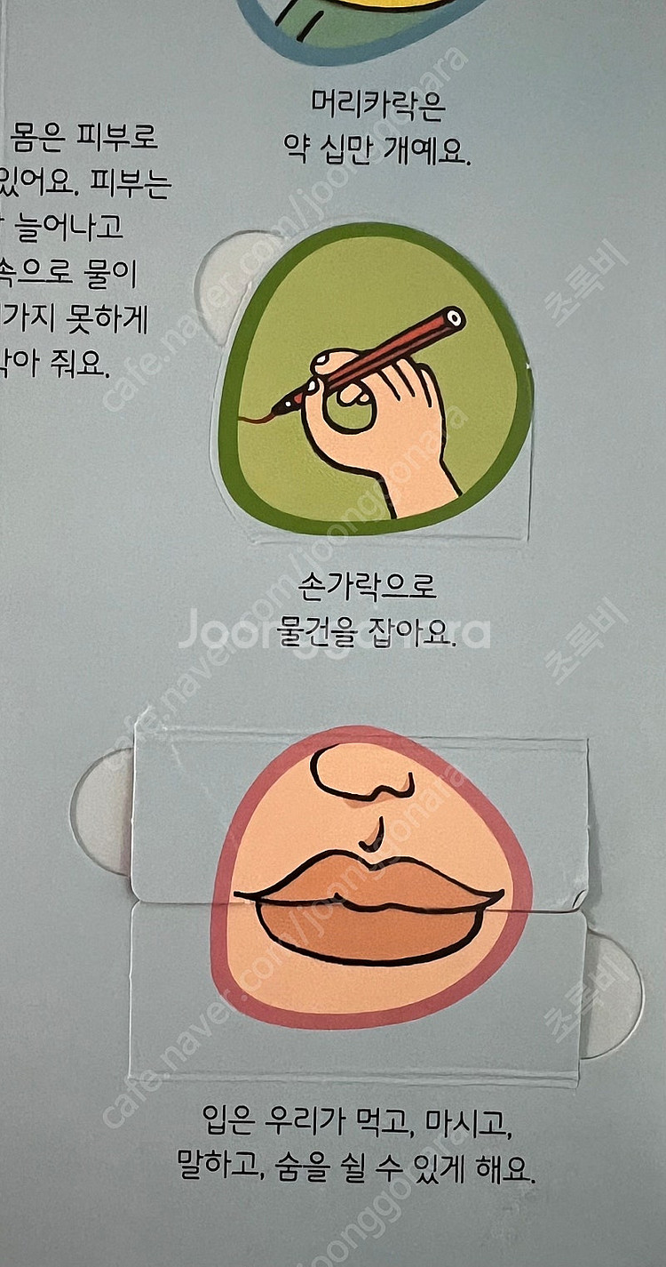 어스본 플랩북 5권+사파리 플랩북 2권--4