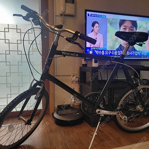티티카카 스피더스 L 7단 미니벨로