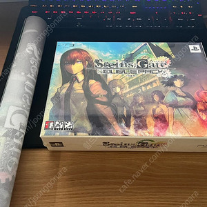 PS3 슈타인즈게이트 더블팩 한정판 미개봉 판매합니다