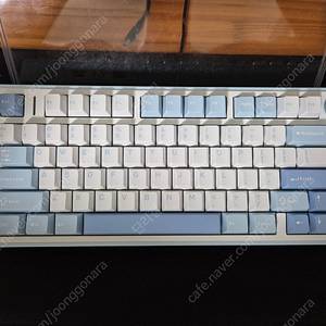 독거미 aula f75 키보드