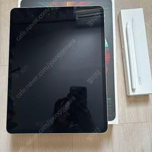 찔러보기 X / S급 아이패드 프로 5세대 256gb 실버 + 애플펜슬
