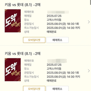 8.1 고척돔 롯데자이언츠 키움 연석자리