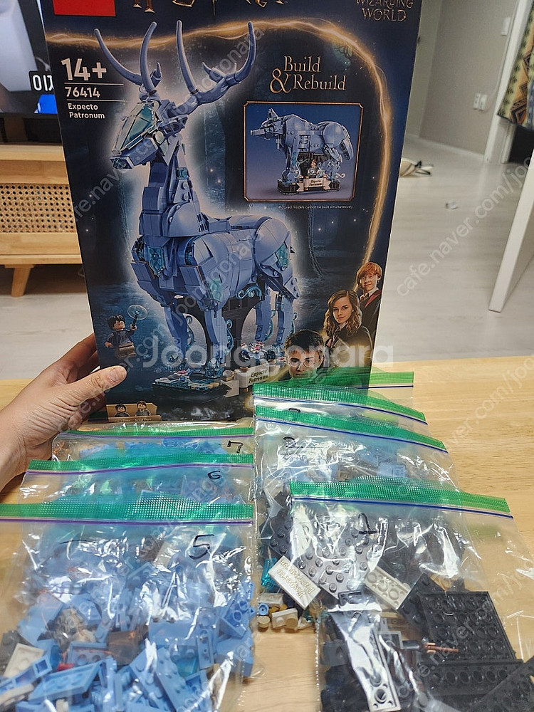 레고 해리포터 76414 익스펙토 페트로눔--0