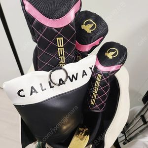 여성용 혼마 2~3스타 베레스 골프채 말본 정품 휠캐디백 풀세트