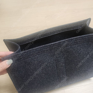 디올 북토트 미디움 이너백