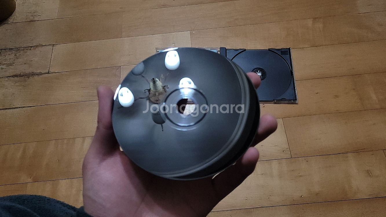 PS1, PSP, PS3 게임들 판매합니다--5