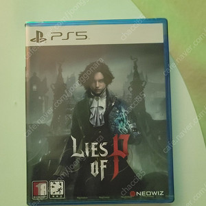 PS5 P의 거짓