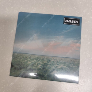 오아시스 Oasis - Whatever (Pink & Blue Splatter Vinyl, 7inch) 이미지