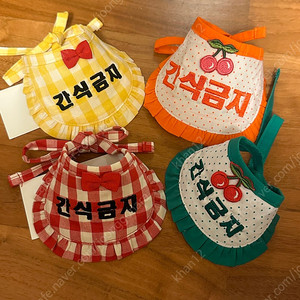 강아지 간식금지 케이프