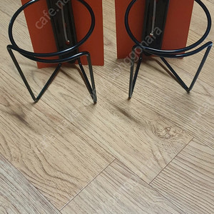 벨로오렌지 모하비 케이지