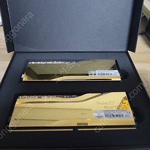 지스킬 트라이던트Z5 로얄 DDR5 32GB 골드 8000MT/s 판매합니다.