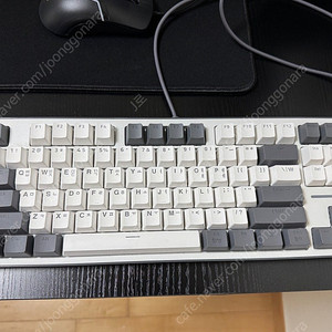 콕스 ck01 tkl 갈축