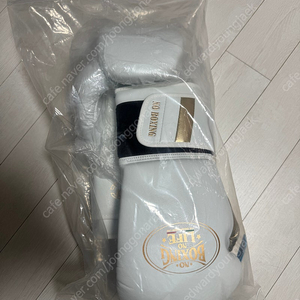 복싱 글러브(미사용)