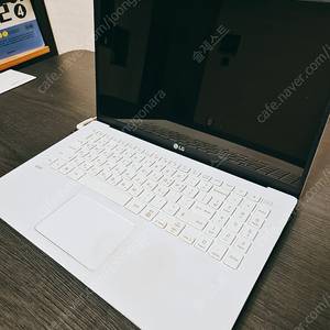 15인치 LG 터치 그램 i5 1TB
