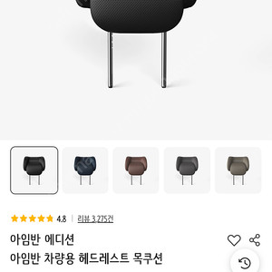 테슬라 모델3 헤드레스트