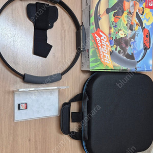 닌텐도 스위치 칩 판매