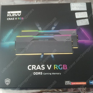 ESSENCORE KLEVV DDR5-6000 CL30 CRAS V RGB 48gb 서린