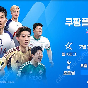 토트넘vs뉴캐슬 2등석C(토트넘 팬존) 통로석 슈퍼명당
